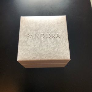 Pandora boxes, cloth bags w/ polishing cloths